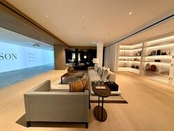 21 Anderson (D10), Condominium #451129801